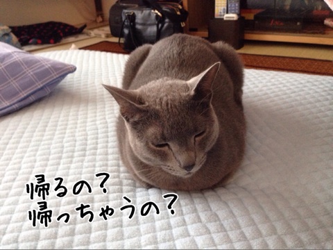 {4D7A54A9-3886-438D-9B0A-7FF427125F01:01}