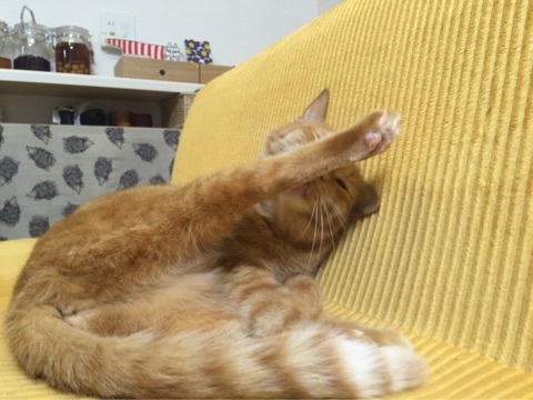 {E3FD3996-78B5-478E-9021-D2665F5C743D:01}