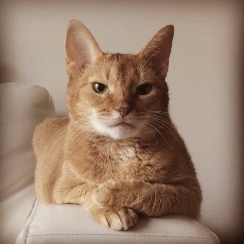 {4B4DD872-6847-4A6E-9CC5-7041AFC5C7B7:01}