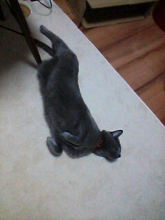 {4E8D22B5-EBCB-4770-BDC5-FC65B8DF5FF7}