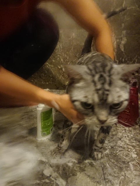 18-08-24-09-00-53-718_deco