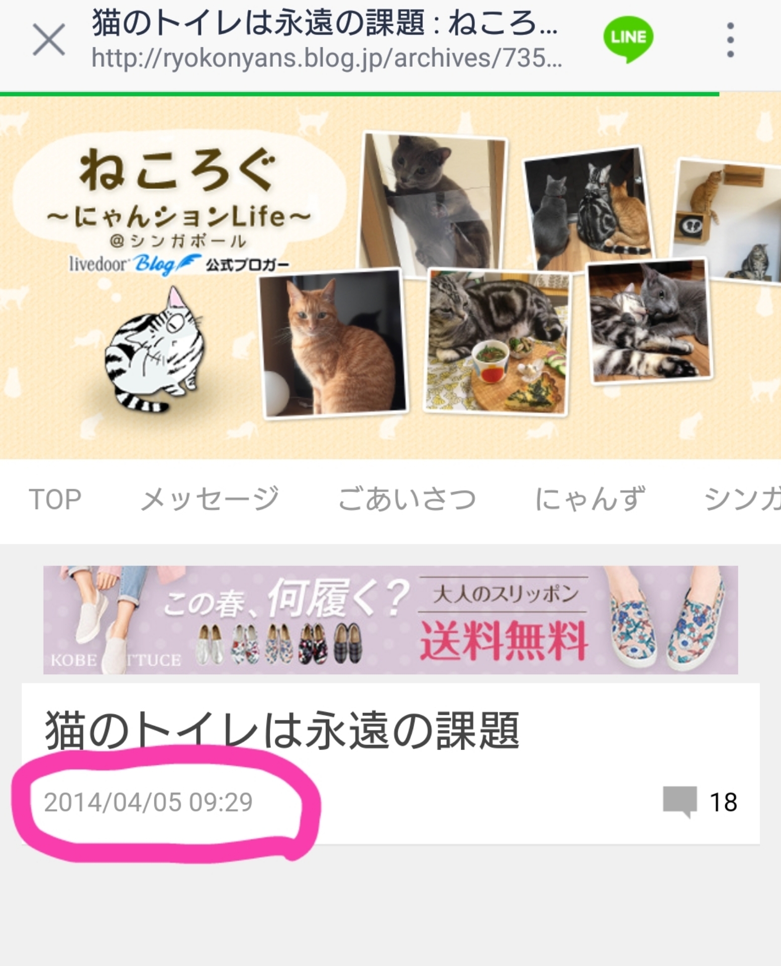猫トイレは永遠の課題 18年ver ねころぐ にゃんごくlife クアラルンプール Powered By ライブドアブログ 猫トイレは永遠の課題 18年ver ねころぐ にゃんごくlife クアラルンプール Powered By ライブドアブログ