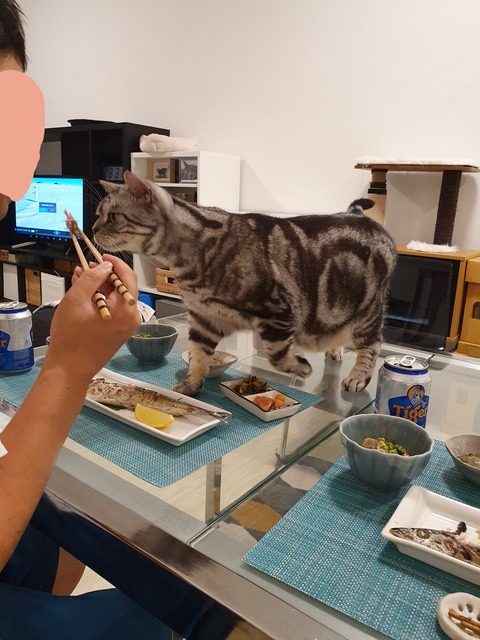 19-10-16-07-32-23-799_deco