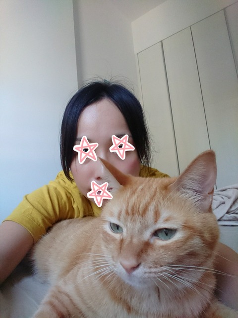 [画像:7eba3158-s.jpg]