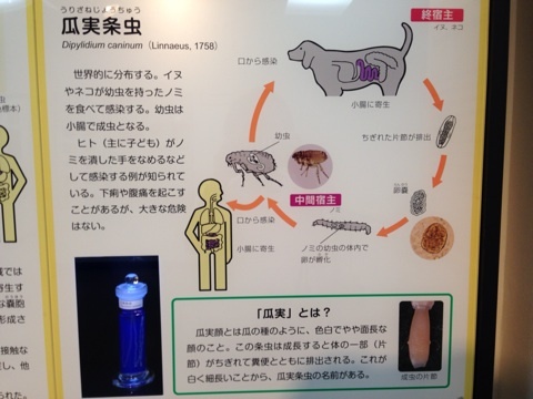 {56878F52-1F69-4AEC-86C7-93AF54E3497A:01}