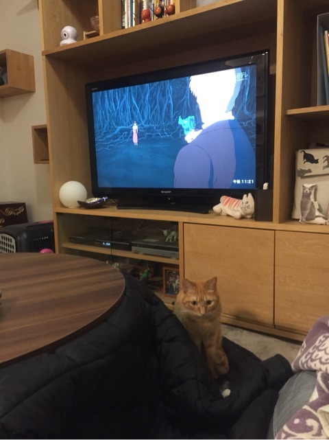 {BE2A3A07-2A6D-425E-99F1-41E4F8557CC0:01}