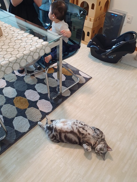 20191227_140307