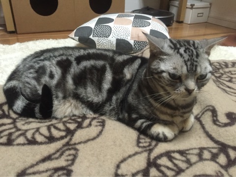 {2F0DBD18-8659-4CA2-A81E-8BD552DFF46C:01}