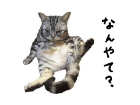 line_1577420788258