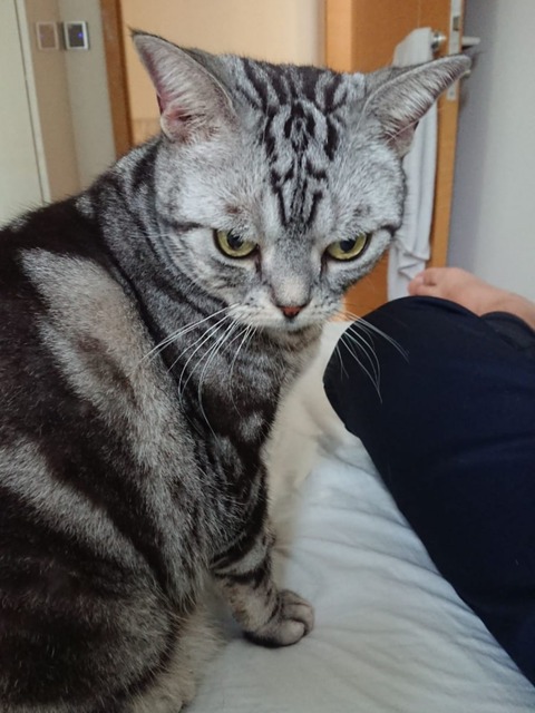 18-11-24-21-08-00-510_deco