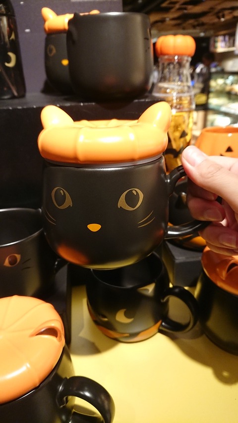 IMG-20181018-WA0007
