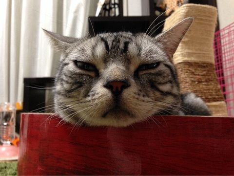 {74EE2F6E-4DF2-44BF-AAA7-E21D3B8A9237:01}