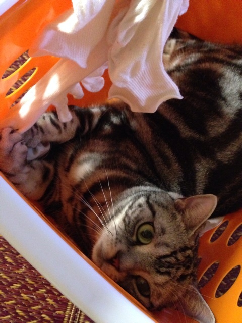 {D7706CB6-D89B-4E7A-B7E4-A2BAA417999F:01}