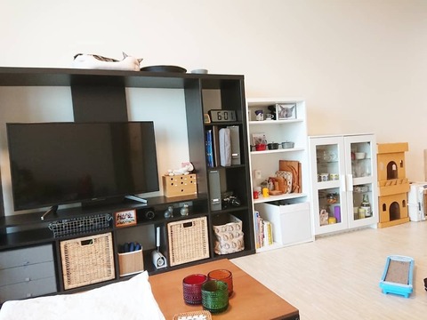 IMG_20181204_081325_616