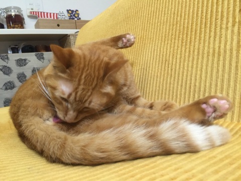 {A64E6DCC-A889-40EE-A768-D533E04B3CA8:01}