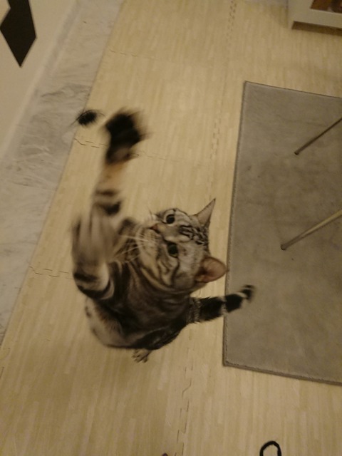 DSCPDC_0003_BURST20171229201014151_COVER