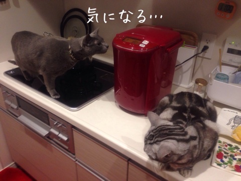 {F21A844D-16B0-4E03-B45C-BAF78233F869:01}