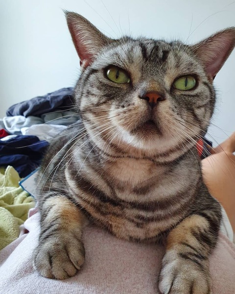 IMG_20191014_072939_849