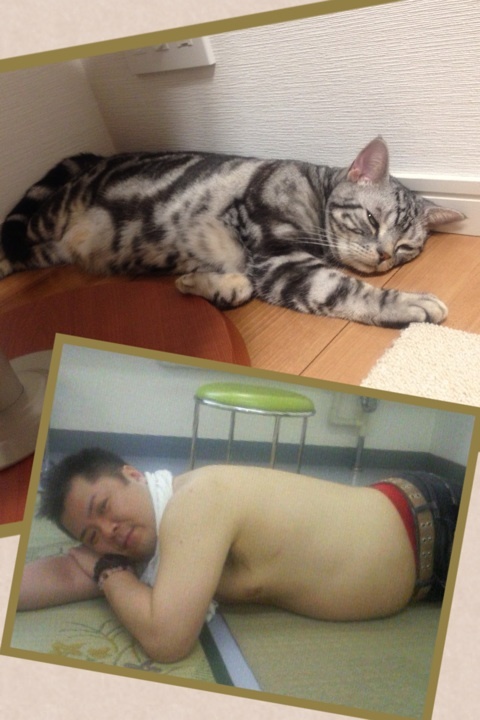 photo:06