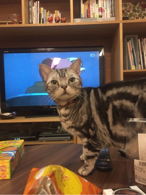 {42367226-D875-4F07-9E27-B383A4639899:01}