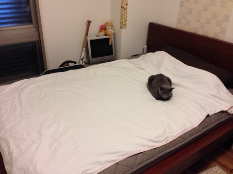 {1E72E6CF-15B1-40DC-B7C3-11B3D02AD1F2:01}