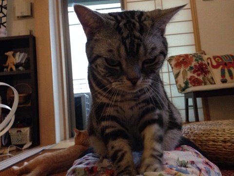 {E6E1AD0A-AB69-4822-B917-A3B440B406F5:01}