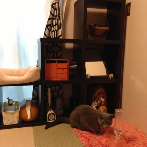 photo:16