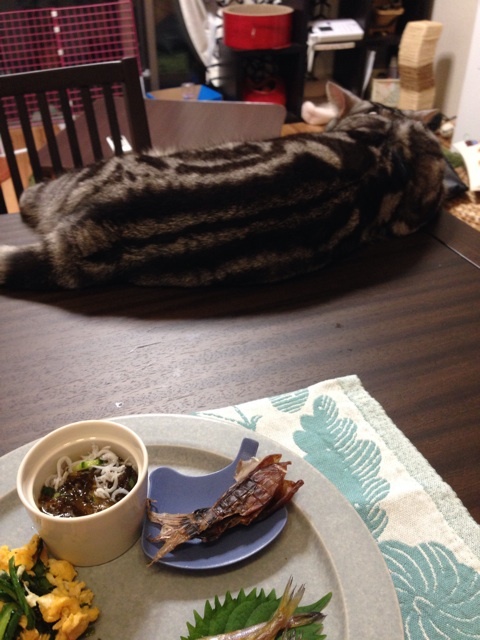 {120A240B-6DD5-4D23-9DC1-382020A8140D:01}