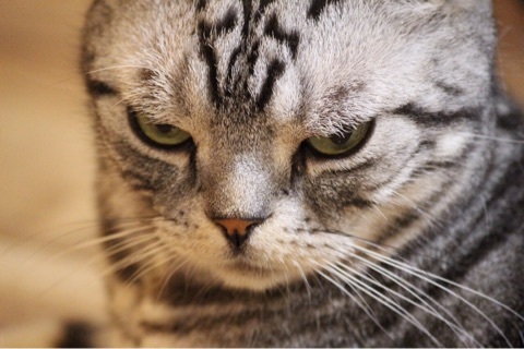 {03CCC1FF-3081-4A4E-B7D9-8FFBB8CB44EE:01}