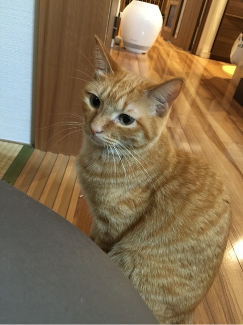 {2233D52E-7535-4758-AF90-3B367A728808:01}