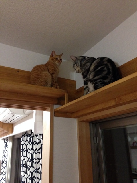 {869E9694-F57A-48B9-9DE9-573F95CBC43B:01}