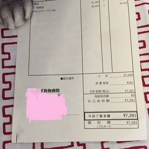 {22DCEE81-BC7A-43B3-81F9-069C104301CC:01}