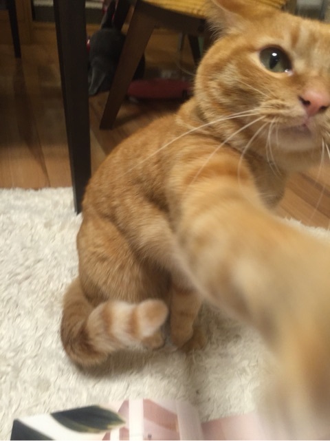 {027C5107-BFF8-4A4B-925D-49AED8838CAF:01}