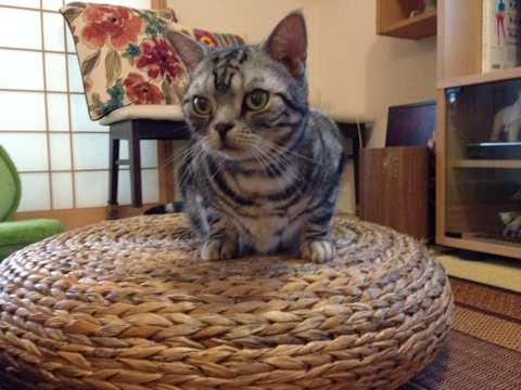 {25F53FCA-563C-4ED3-972E-19DDCBFD601A:01}