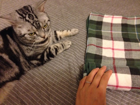 {2A073028-BFB4-44D0-8983-6D34437A0CCF:01}