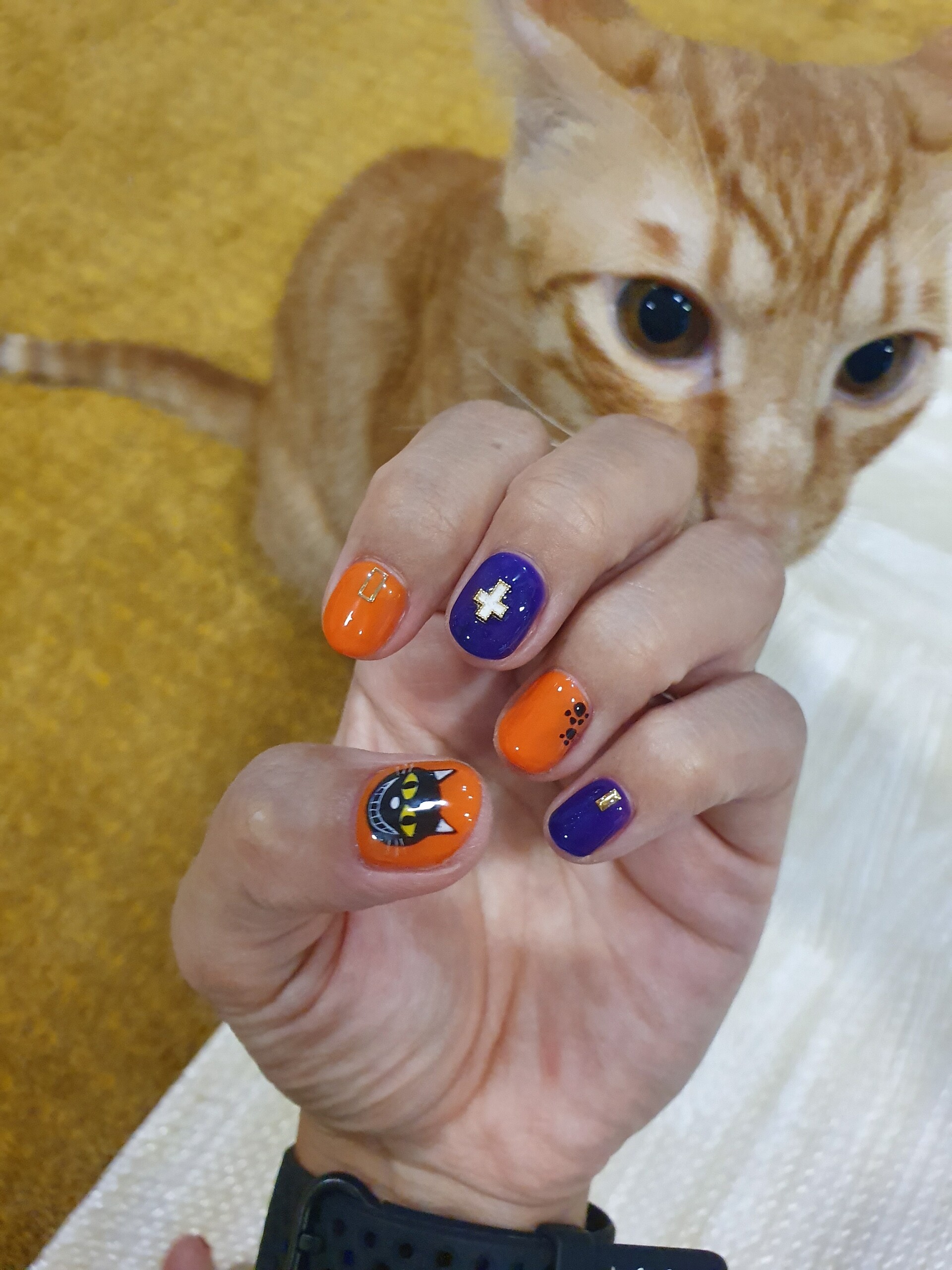 ハロウィン猫ネイル ねころぐ にゃんごくlife クアラルンプール Powered By ライブドアブログ ハロウィン猫ネイル ねころぐ にゃんごくlife クアラルンプール Powered By ライブドアブログ