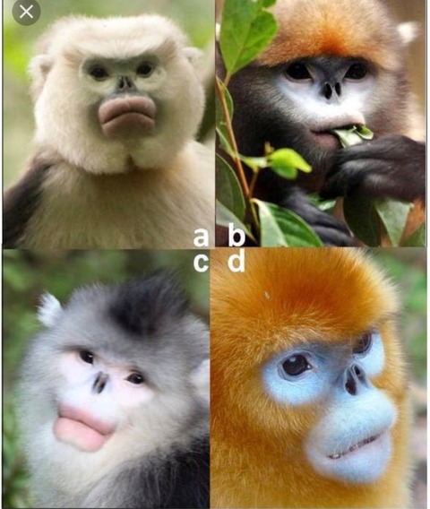 18-07-16-10-26-24-494_deco