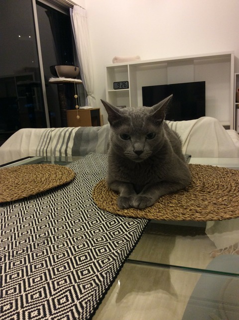 [画像:88d7b38f-s.jpg]