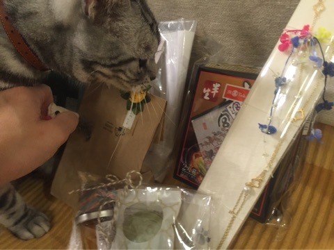 {017057EA-9C60-49E9-A6A4-E0FF82FADC26:01}