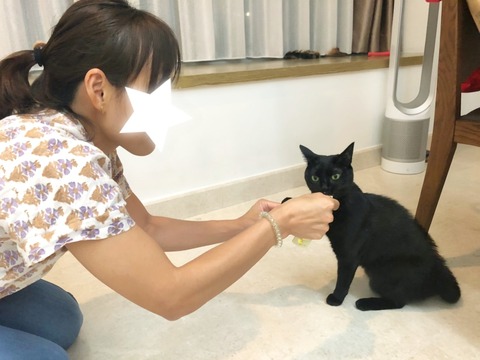 19-06-18-14-56-17-502_deco