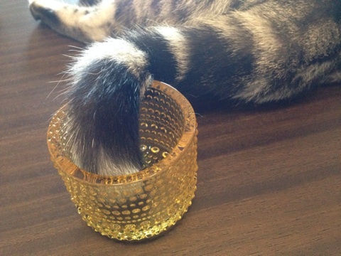 {D8FEA44F-7071-4191-9079-989280A87C3A:01}