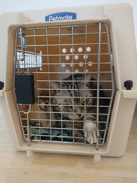 [画像:8a06b853-s.jpg]