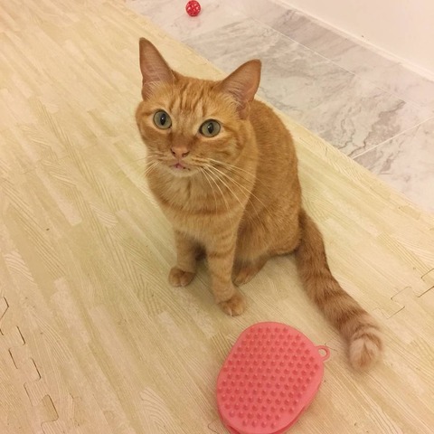 IMG_20180129_093232_869