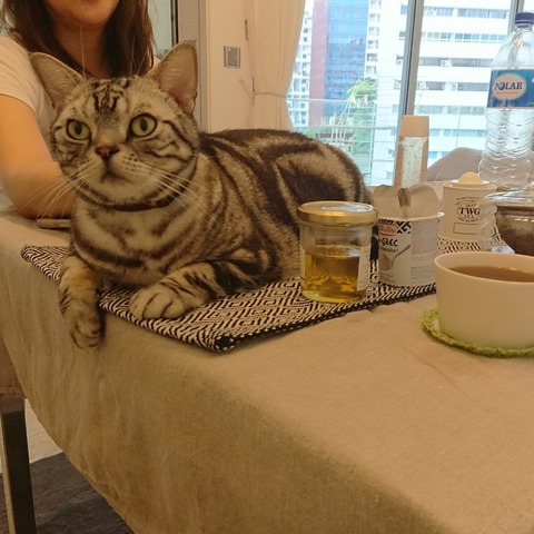 IMG_20171225_082710_824