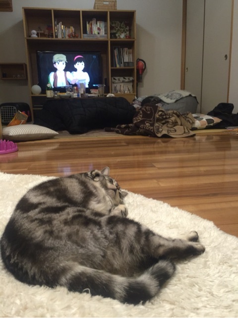 {9482A2B4-1082-4124-BD5D-42EDB062D4B1:01}