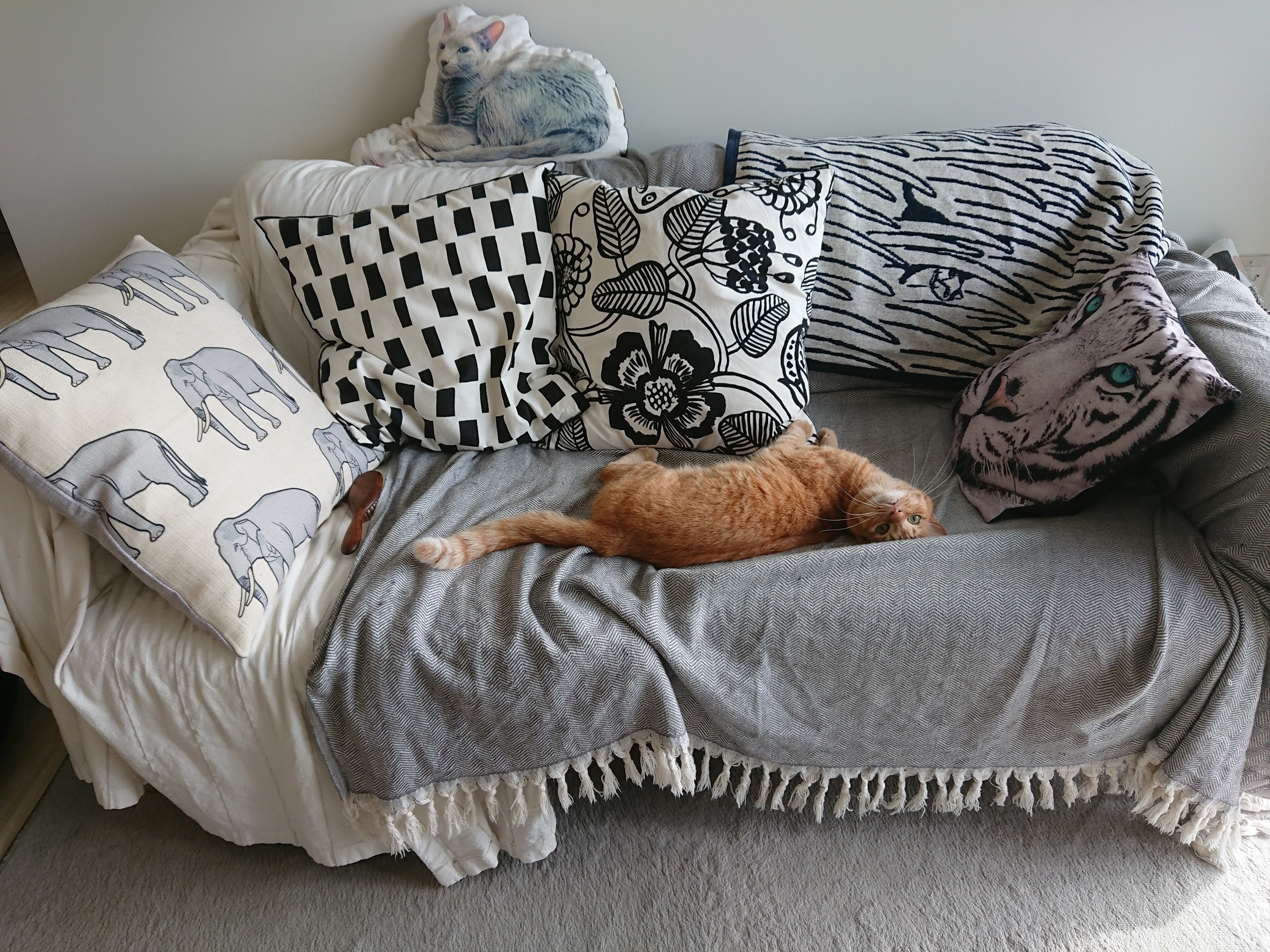 我が家のソファカバー : ねころぐ ～にゃんごくLife @クアラルンプール