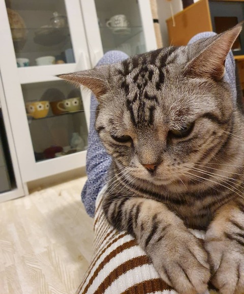 IMG_20190904_234347_708