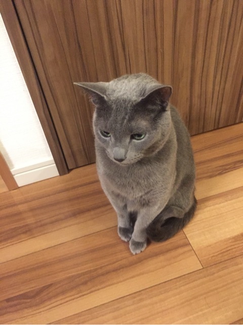 {C52FF127-B02C-45B4-9285-447E155EB343:01}