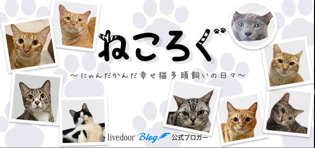 ねころぐ ～にゃんだかんだ幸せ猫多頭飼いの日々～ - にゃんション計画