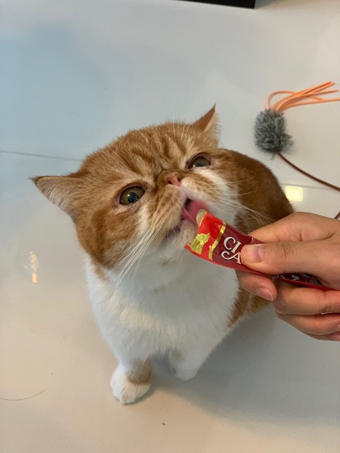 line_181023465512401